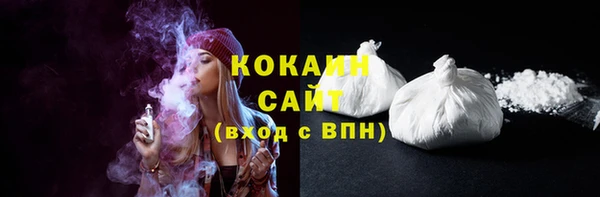 шишки Сосновка
