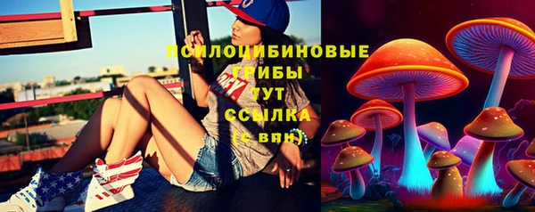 гидра Беломорск