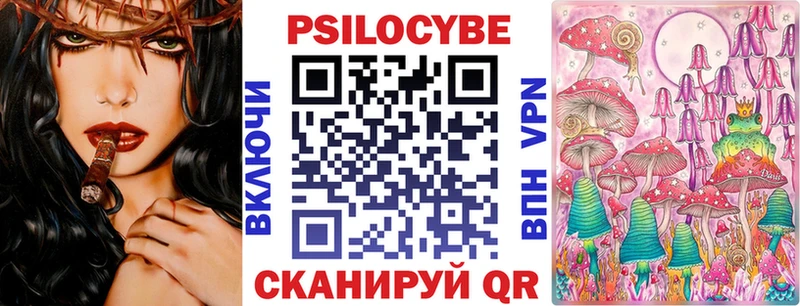 где купить наркотик  Кола  Псилоцибиновые грибы Cubensis 